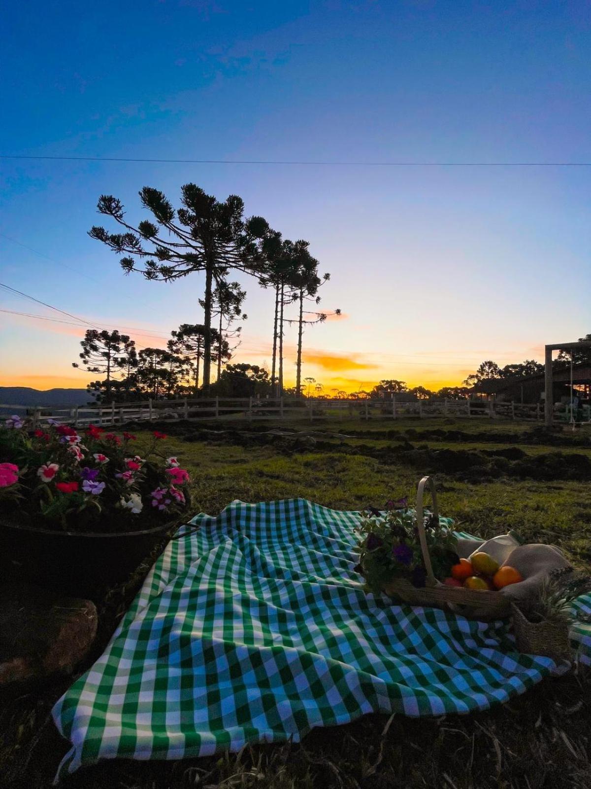 Platto Da Neve:Jacuzzi E Lareira Em Urubici Rg2775 Villa Luaran gambar